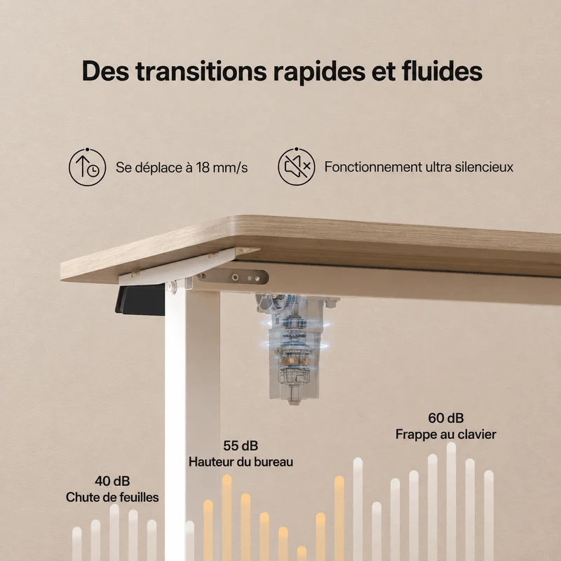 Economy Solid Bureau assis-debout électrique