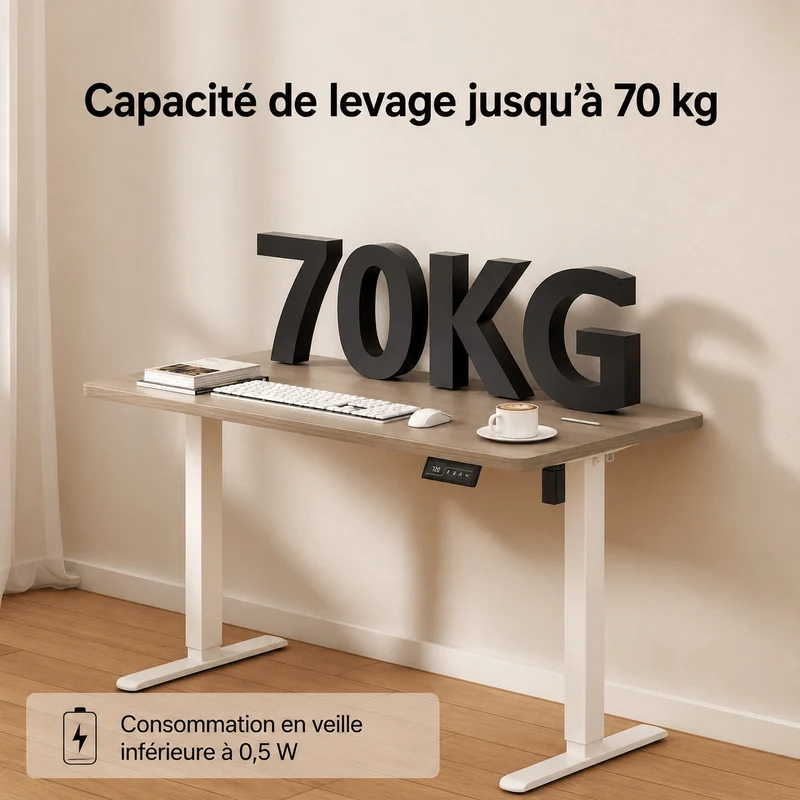 Economy Solid Bureau assis-debout électrique