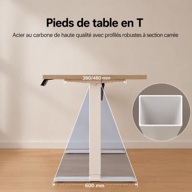 Economy Solid Bureau assis-debout électrique