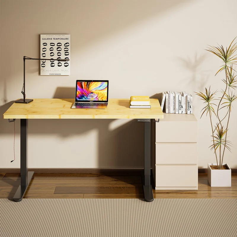 V2 Ultra Pro Bureau assis-debout électrique à double moteur