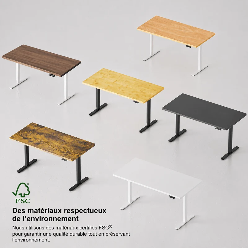 V2 Ultra Pro Bureau assis-debout électrique à double moteur