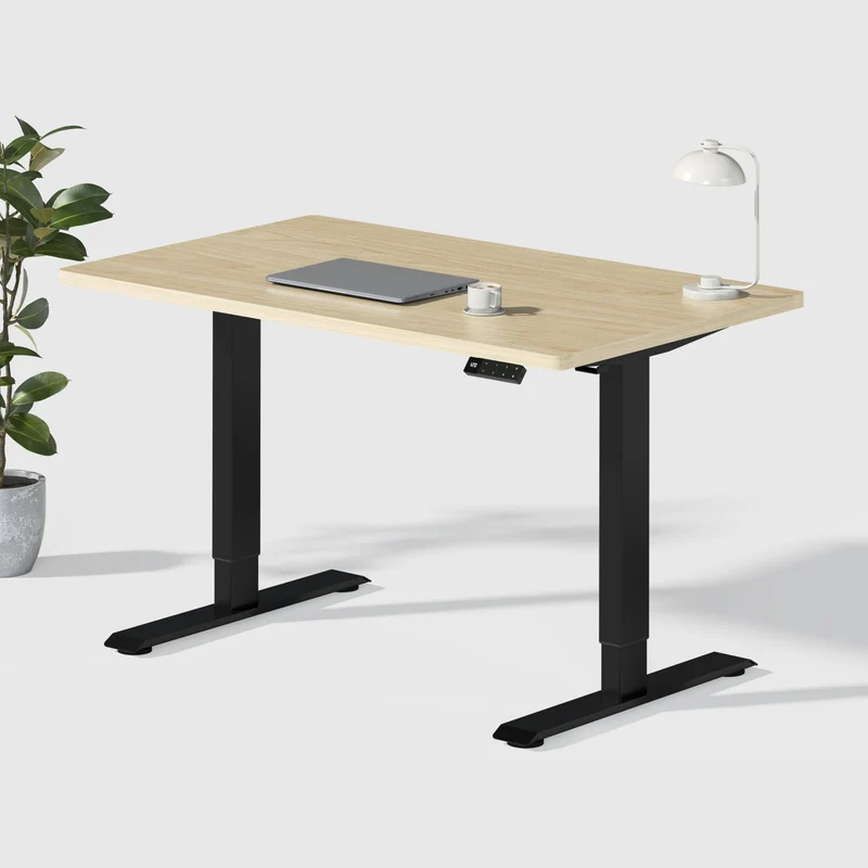 Dual Ultra Bureau assis-debout électrique premium