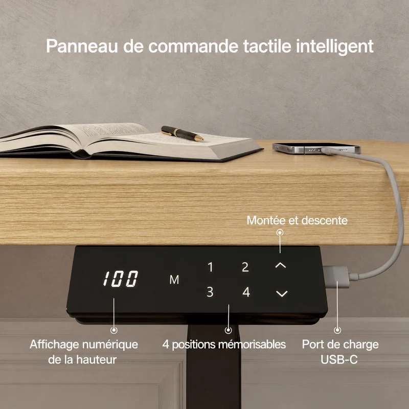 Dual Ultra X Bureau assis-debout électrique premium