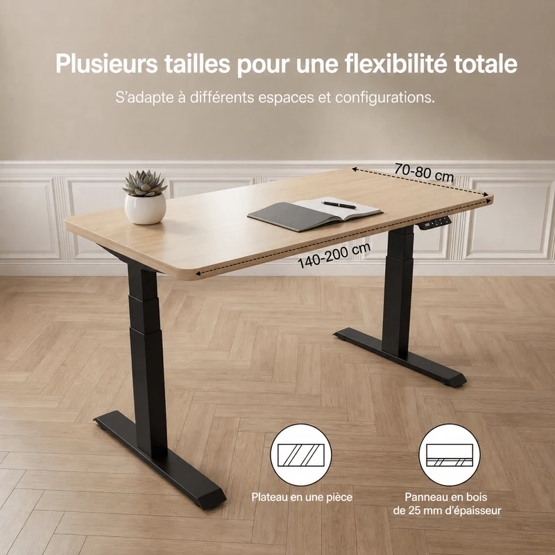 Dual Ultra X Bureau assis-debout électrique premium