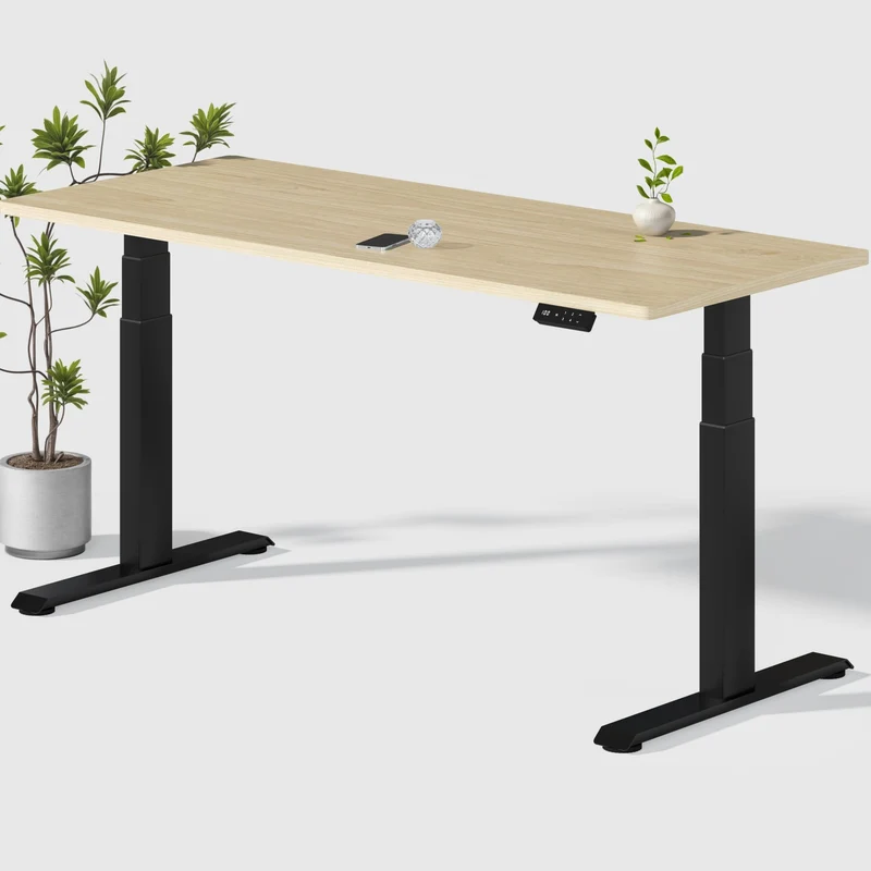 Dual Ultra X Bureau assis-debout électrique premium