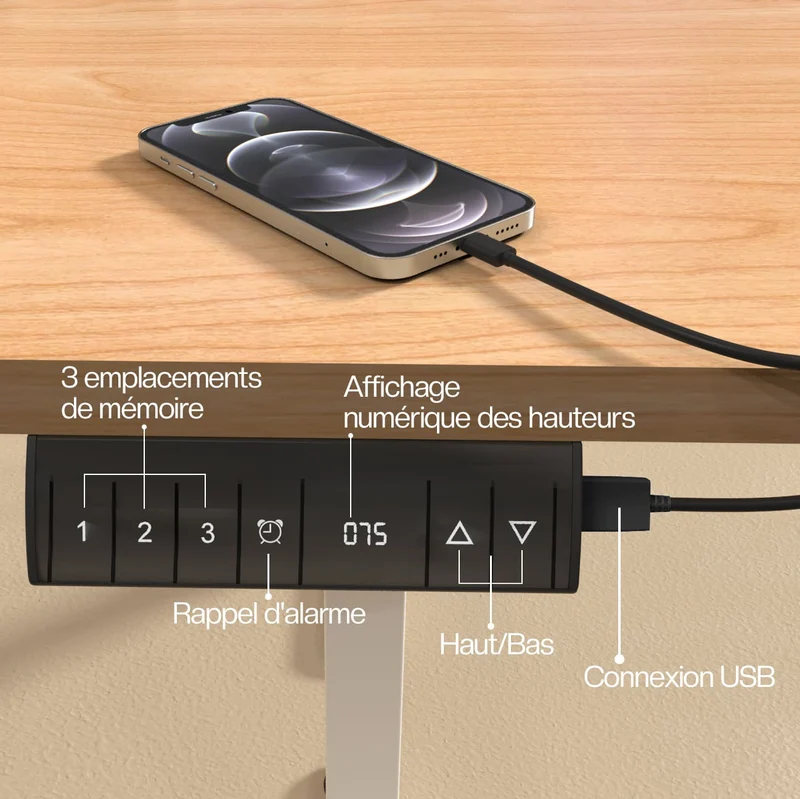 Economy Bureau assis debout électrique