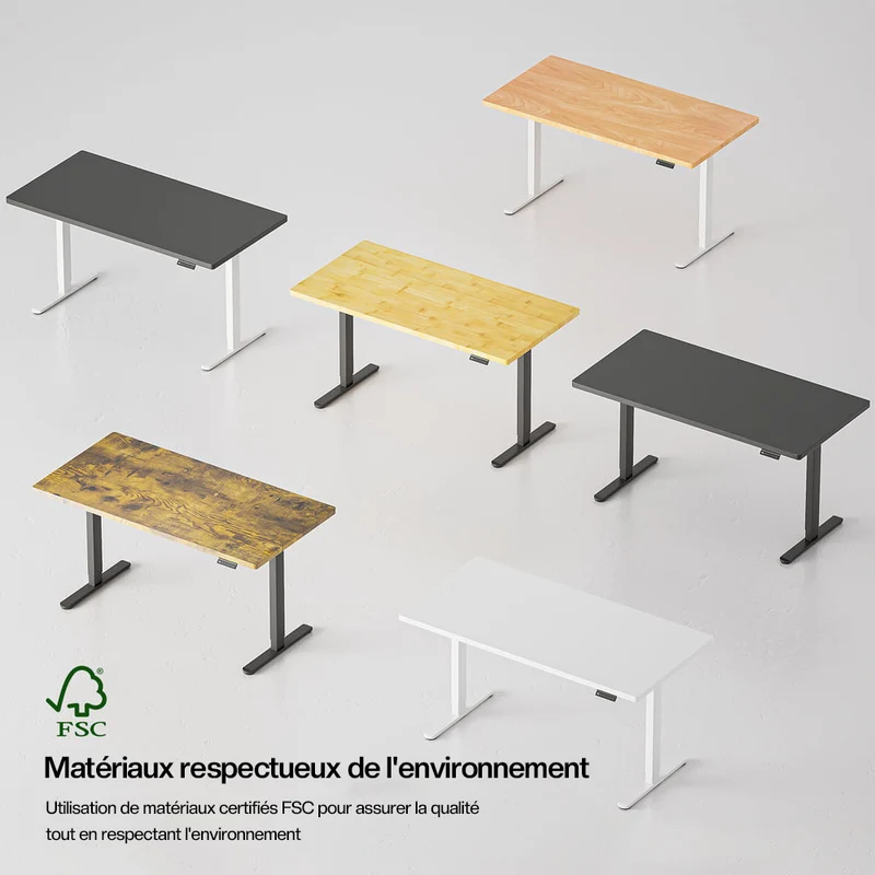 V2 Ultra Bureau assis debout électrique avec double moteurs