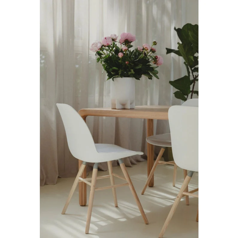 ALBERT KUIP - Chaise / Lot de 2