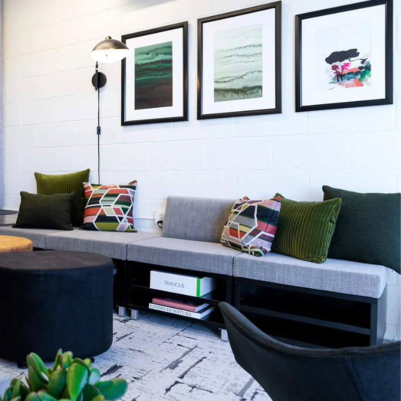 Coussin décoratif Throw Pillows