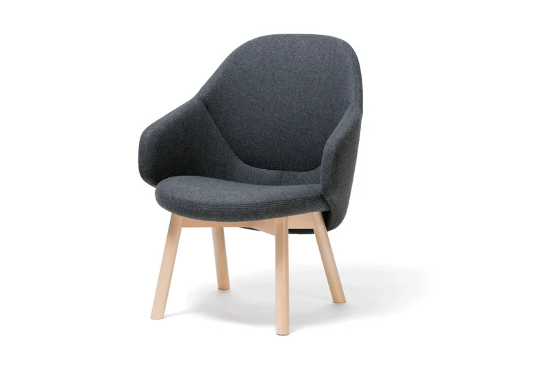 Albu Lounge Armchair