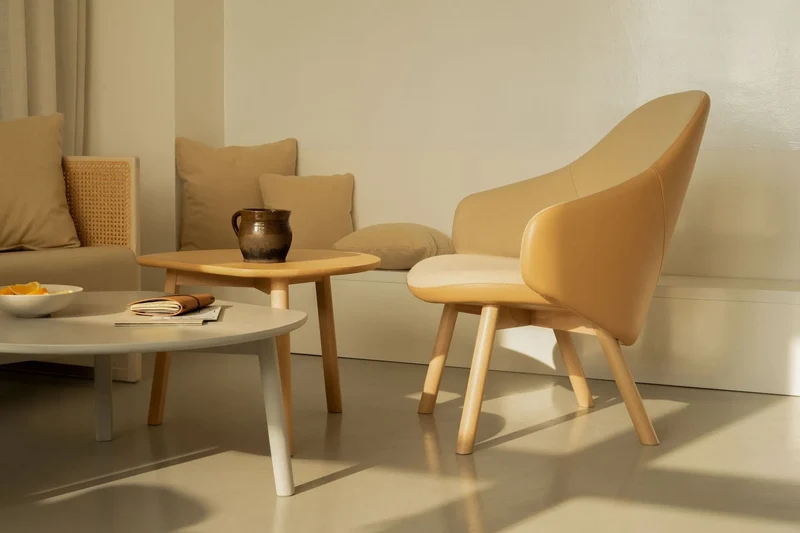 Albu Lounge Armchair