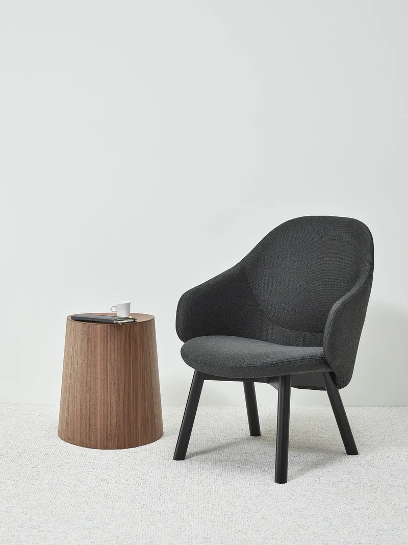 Albu Lounge Armchair