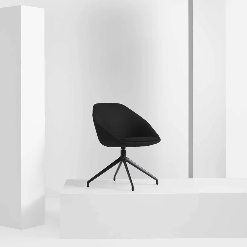 Chaise visiteur, Famiglia