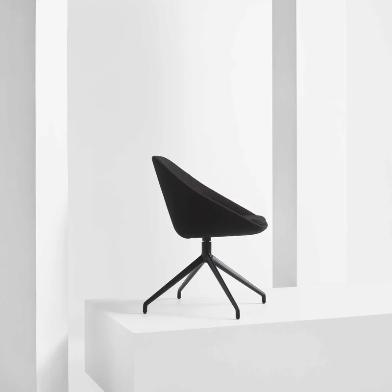 Chaise visiteur, Famiglia