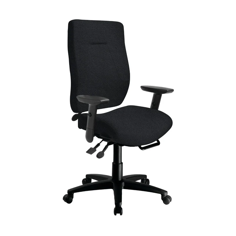 Chaise ergonomique pour grande personne eCentric Executive