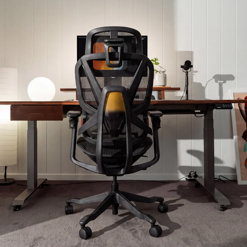 Desky Contourra Ergonomic Mesh Chair