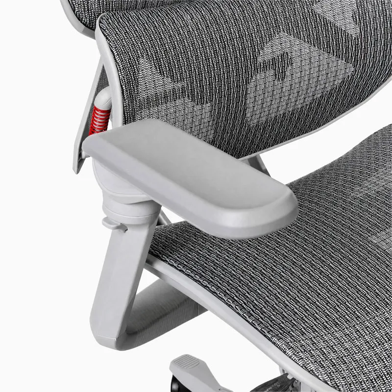 Desky Contourra Ergonomic Mesh Chair