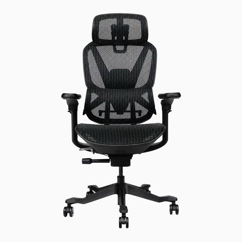 Desky Contourra Ergonomic Mesh Chair