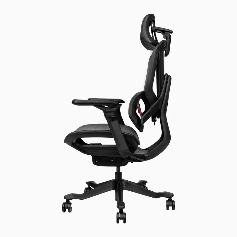 Desky Contourra Ergonomic Mesh Chair