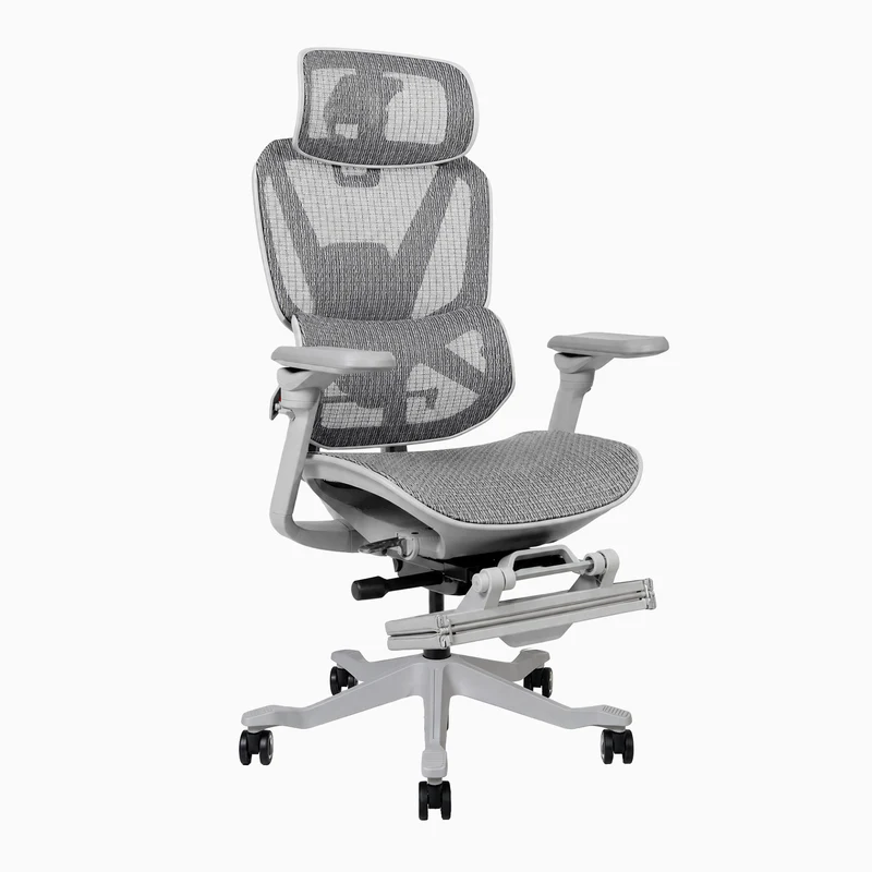 Desky Contourra Ergonomic Mesh Chair
