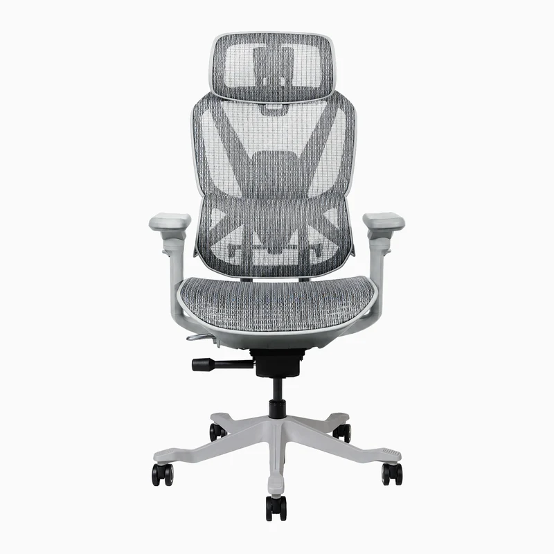 Desky Contourra Ergonomic Mesh Chair