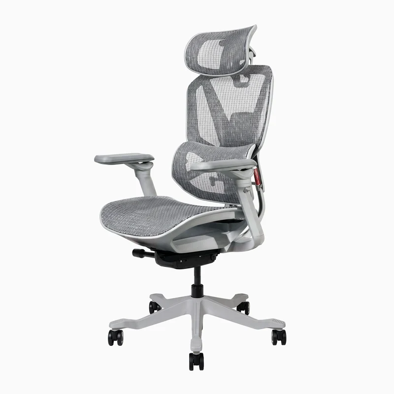 Desky Contourra Ergonomic Mesh Chair