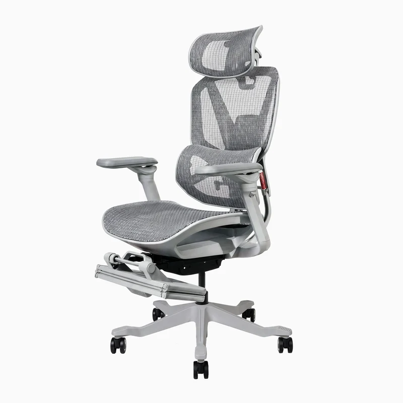 Desky Contourra Ergonomic Mesh Chair