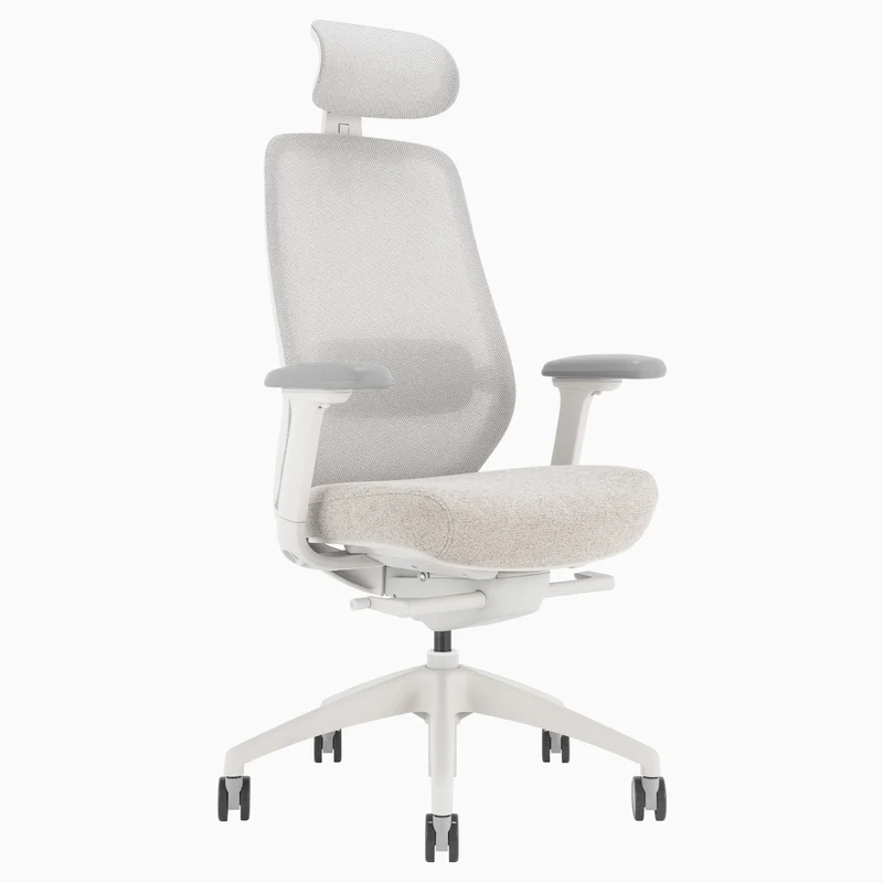 Almost Perfect Desky Coilflex Ergonomic Office Chair