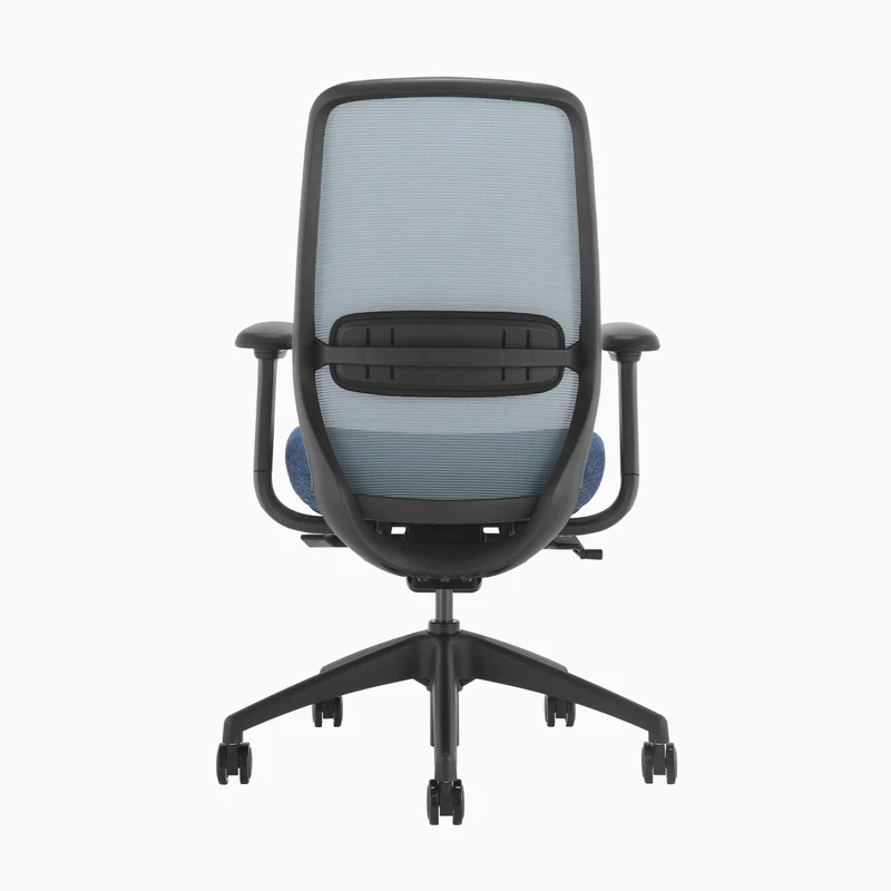 Almost Perfect Desky Coilflex Ergonomic Office Chair