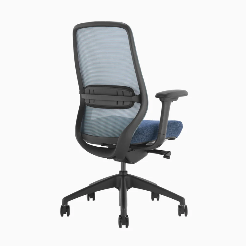 Almost Perfect Desky Coilflex Ergonomic Office Chair
