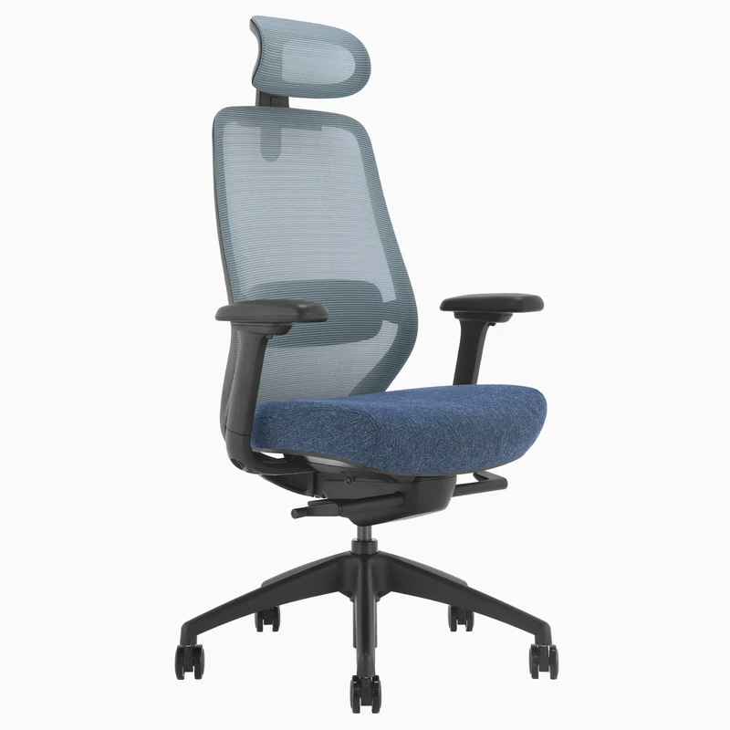 Almost Perfect Desky Coilflex Ergonomic Office Chair