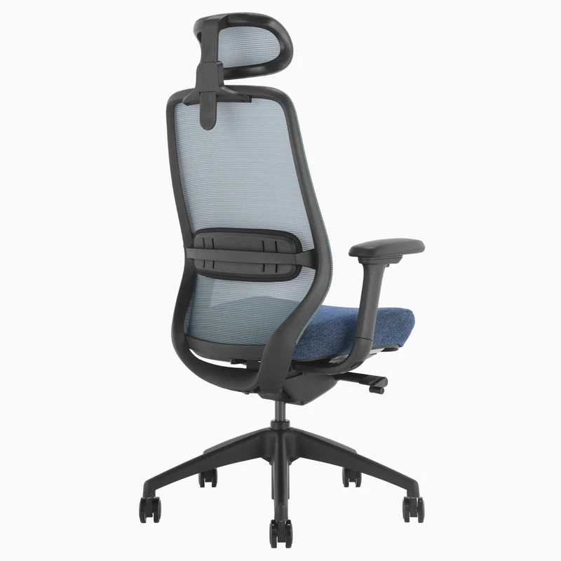 Almost Perfect Desky Coilflex Ergonomic Office Chair