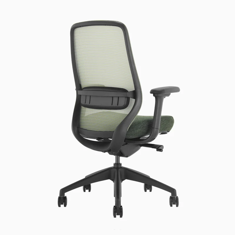 Almost Perfect Desky Coilflex Ergonomic Office Chair