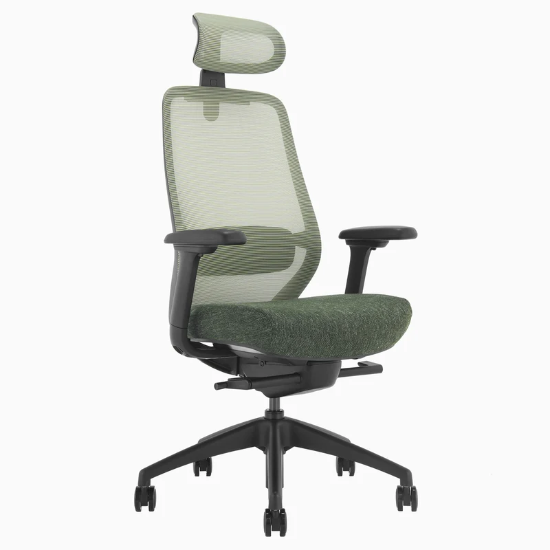 Almost Perfect Desky Coilflex Ergonomic Office Chair