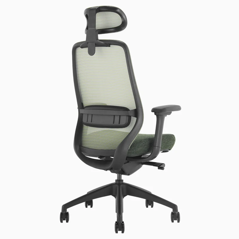 Almost Perfect Desky Coilflex Ergonomic Office Chair