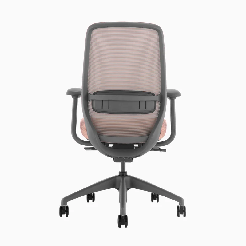 Almost Perfect Desky Coilflex Ergonomic Office Chair
