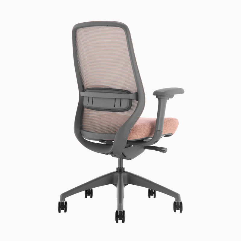 Almost Perfect Desky Coilflex Ergonomic Office Chair