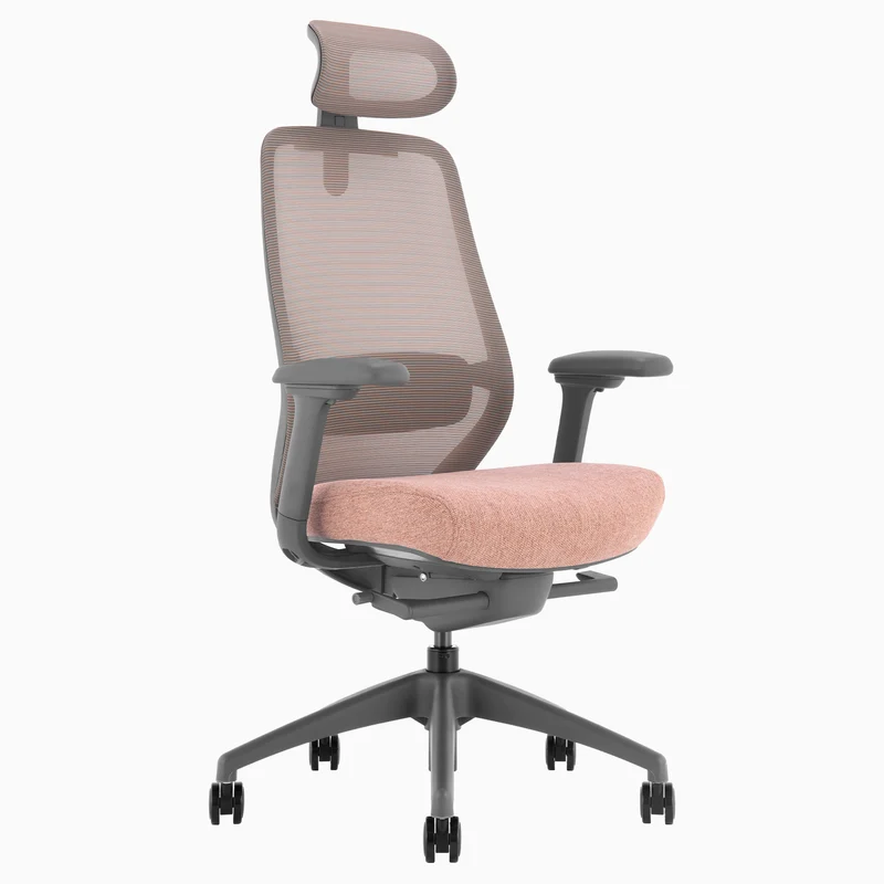 Almost Perfect Desky Coilflex Ergonomic Office Chair