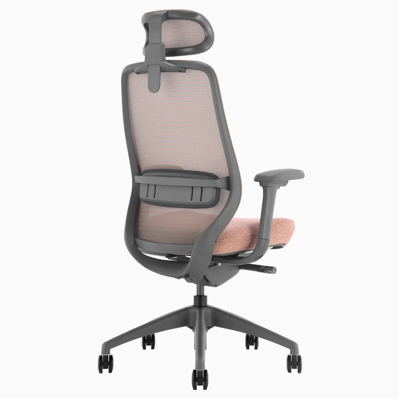 Almost Perfect Desky Coilflex Ergonomic Office Chair