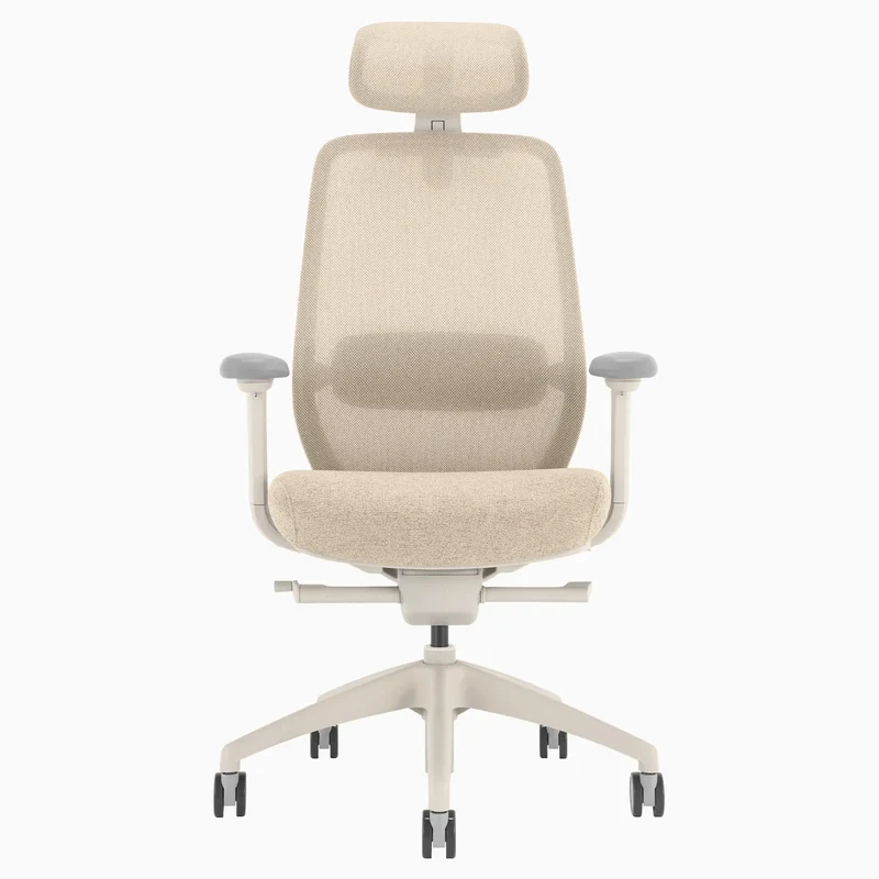 Almost Perfect Desky Coilflex Ergonomic Office Chair