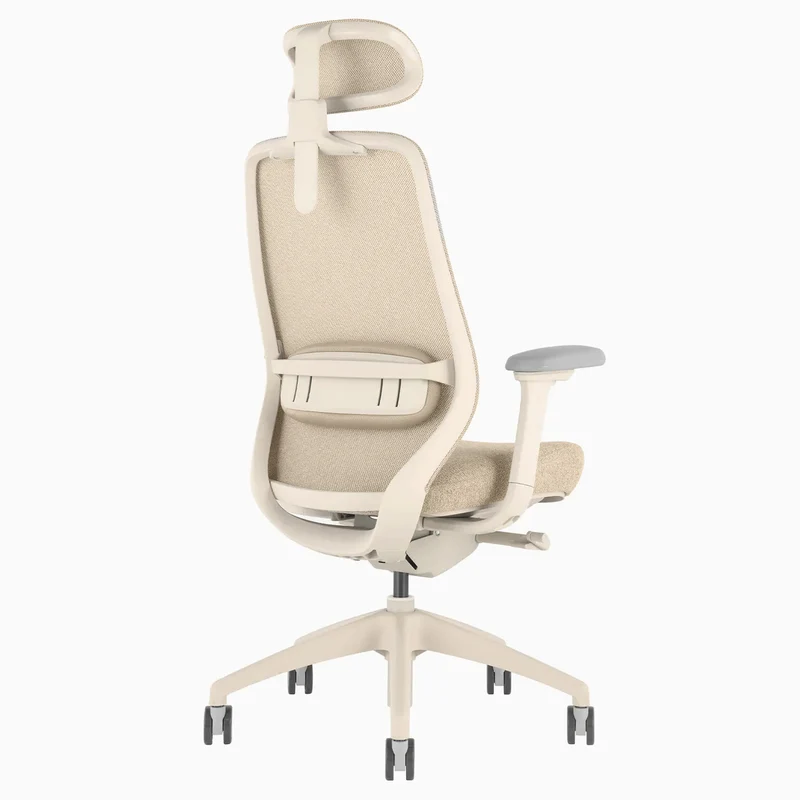 Almost Perfect Desky Coilflex Ergonomic Office Chair