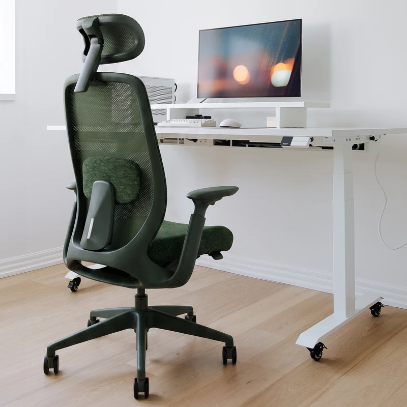 Desky Sereno Ergonomic Office Task Chair