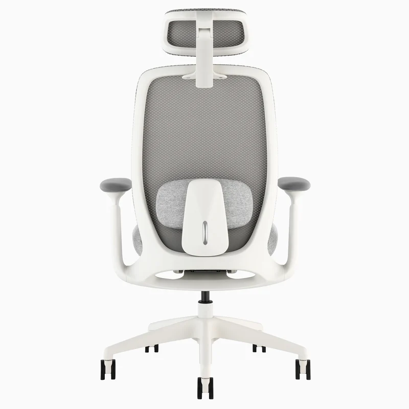 Desky Sereno Ergonomic Office Task Chair