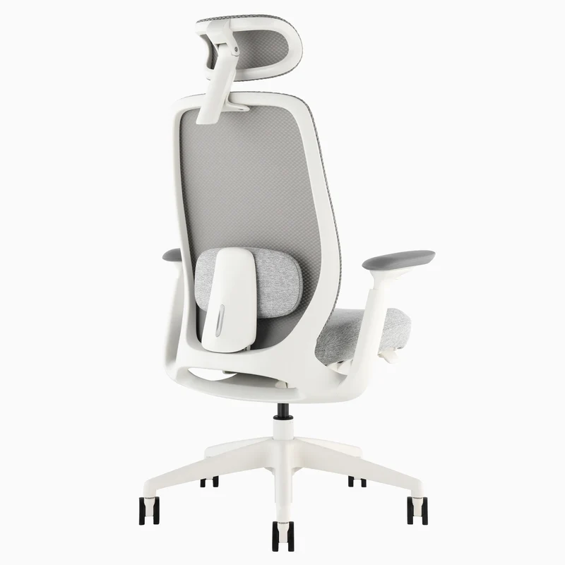 Desky Sereno Ergonomic Office Task Chair