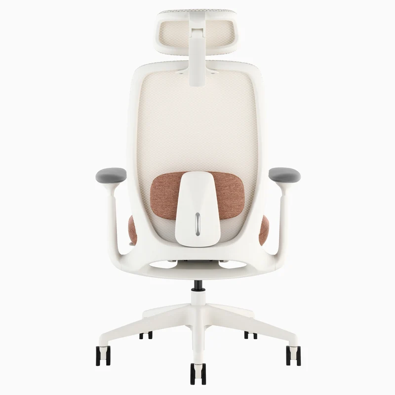 Desky Sereno Ergonomic Office Task Chair