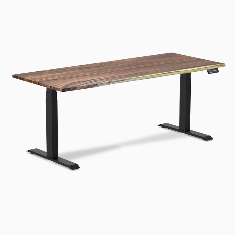 Almost Perfect Desky Dual Hardwood Sit Stand Desk