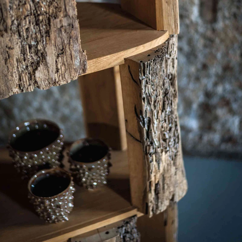 Wood Bookcase BRICCOLONE by Michele De Lucchi for Riva 1920