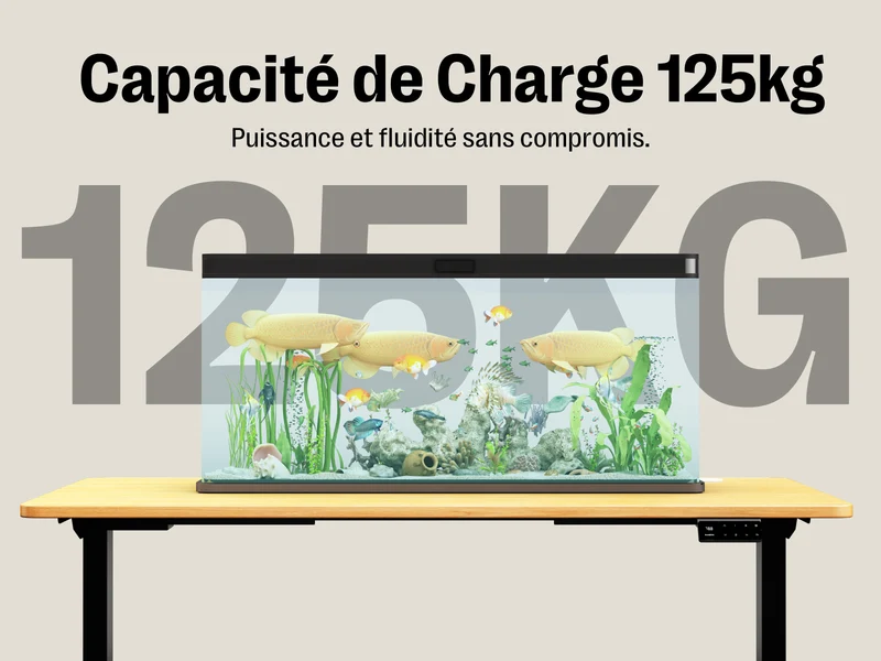 Bureau debout électrique Maidesite T2 à double moteur