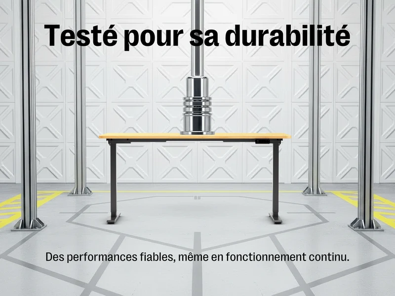 Bureau debout électrique Maidesite T2 à double moteur