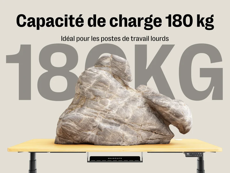 Maidesite EL2 Plus Art - Bureau assis debout électrique